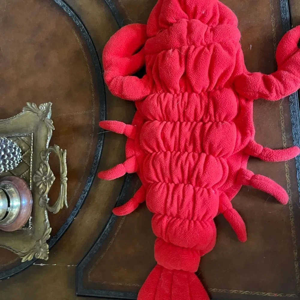 🦞 🎃 ADORABLE Red ROCK Lobster Halloween costume!